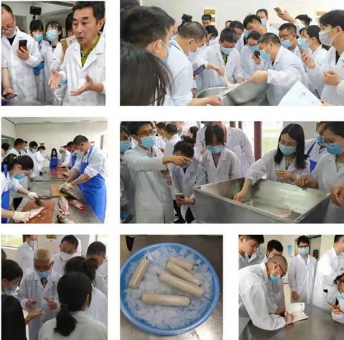 技术赋能产业升级 2021首期鱼糜及其制品加工技术培训班圆满收官